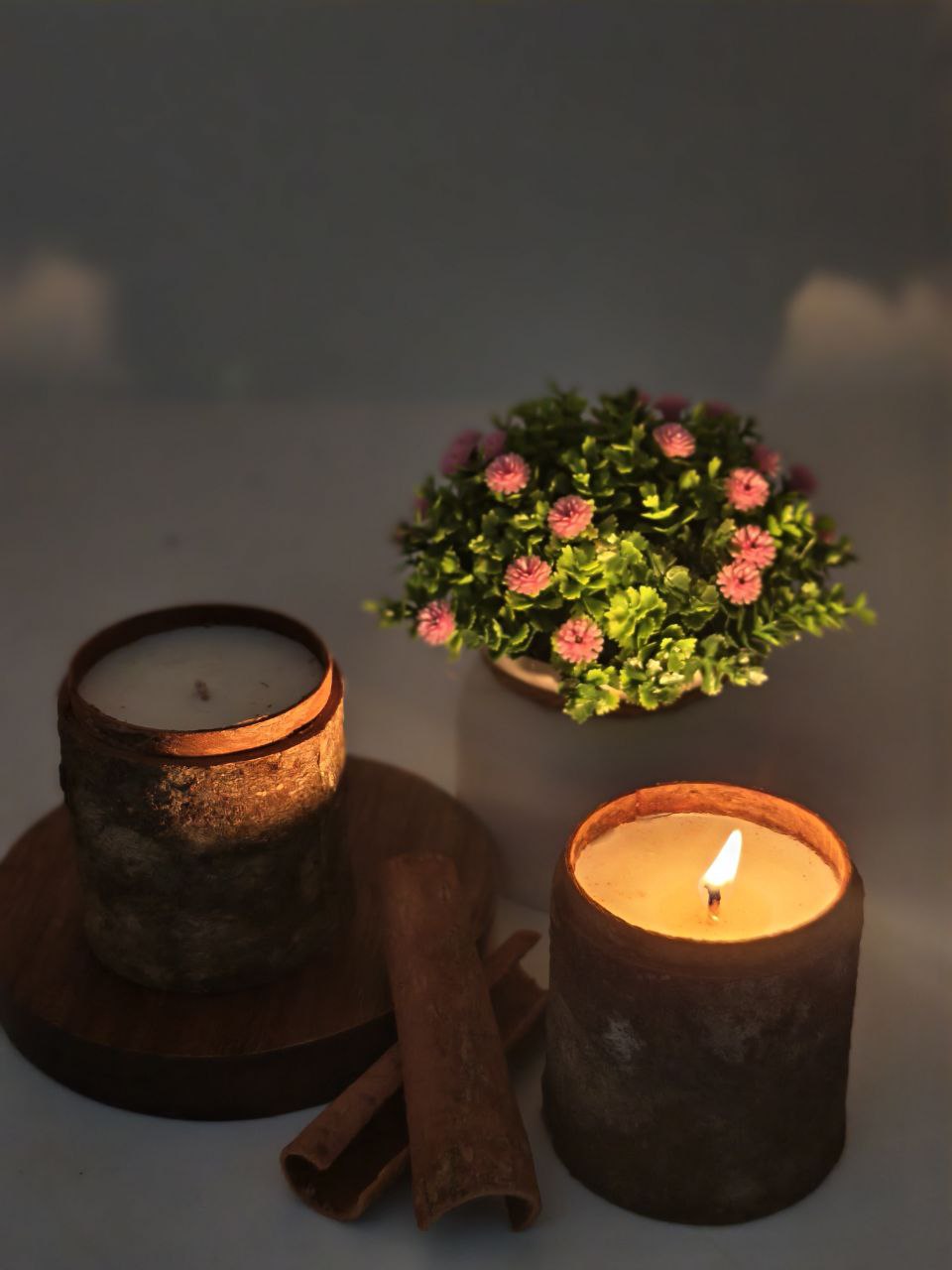 Cinnamon Bark Candle – Handmade from Nature’s Wood